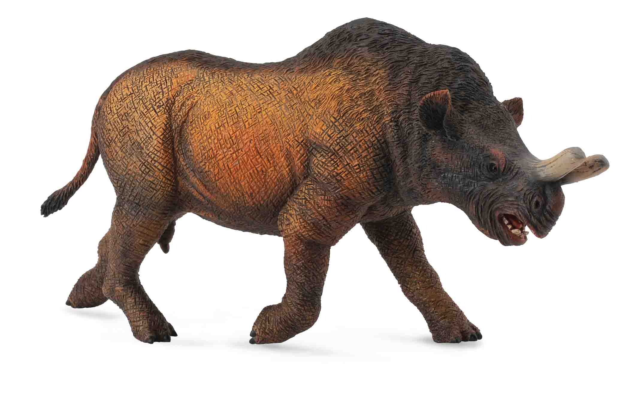 Collecta MEGAcerops