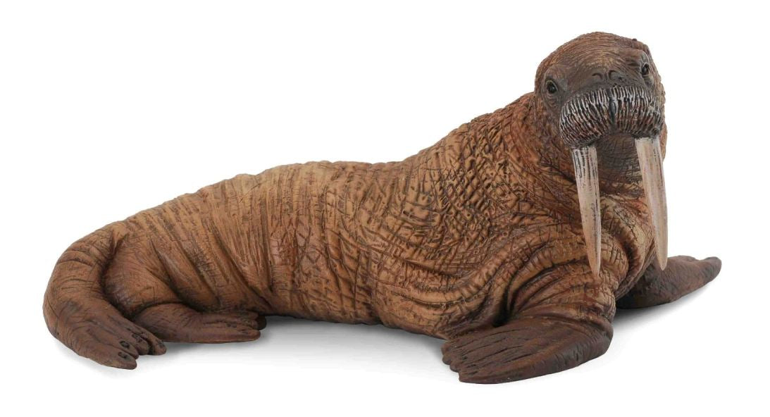 Collecta Walrus Figure (Yellow)