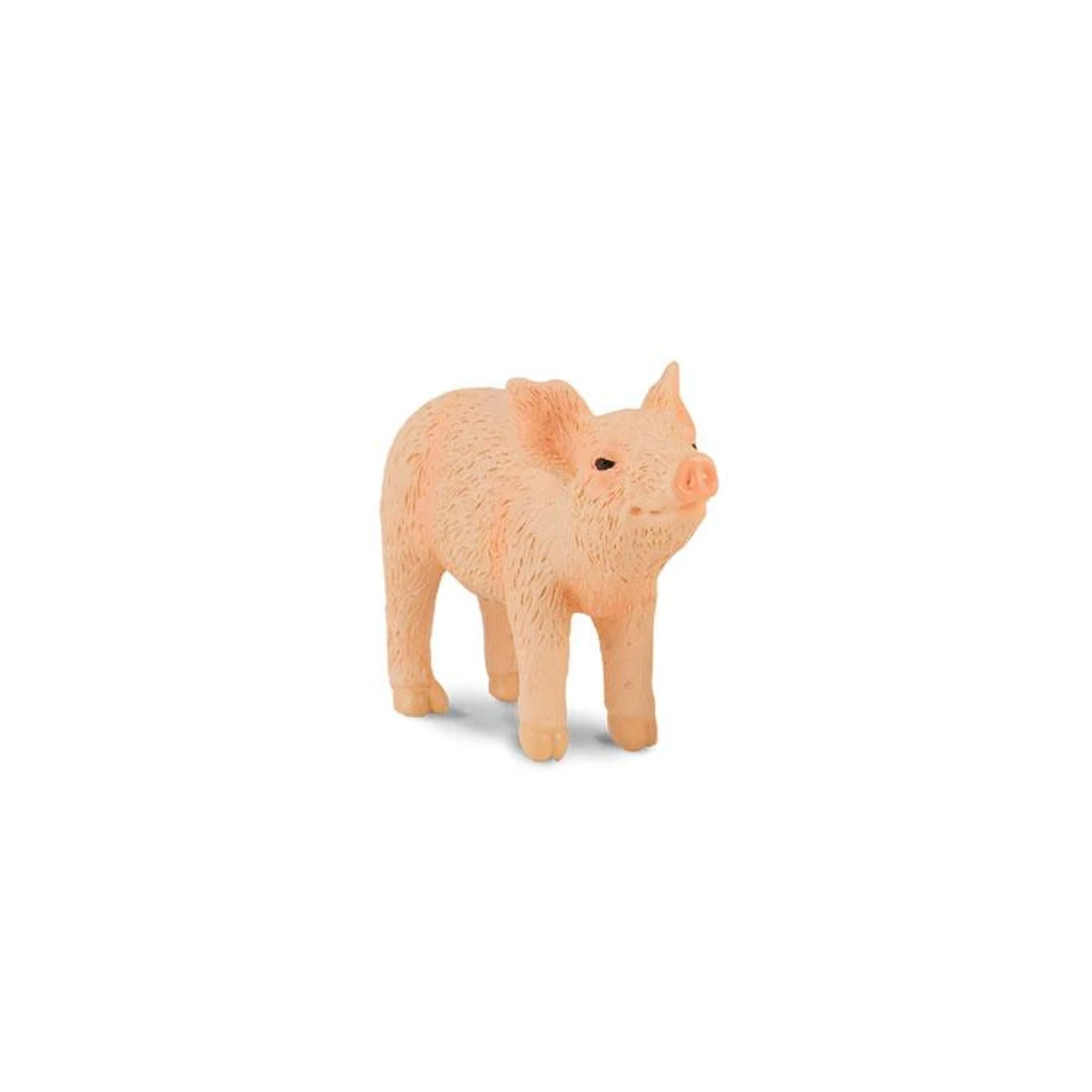 Collecta Smelling Piglet Small (Green)