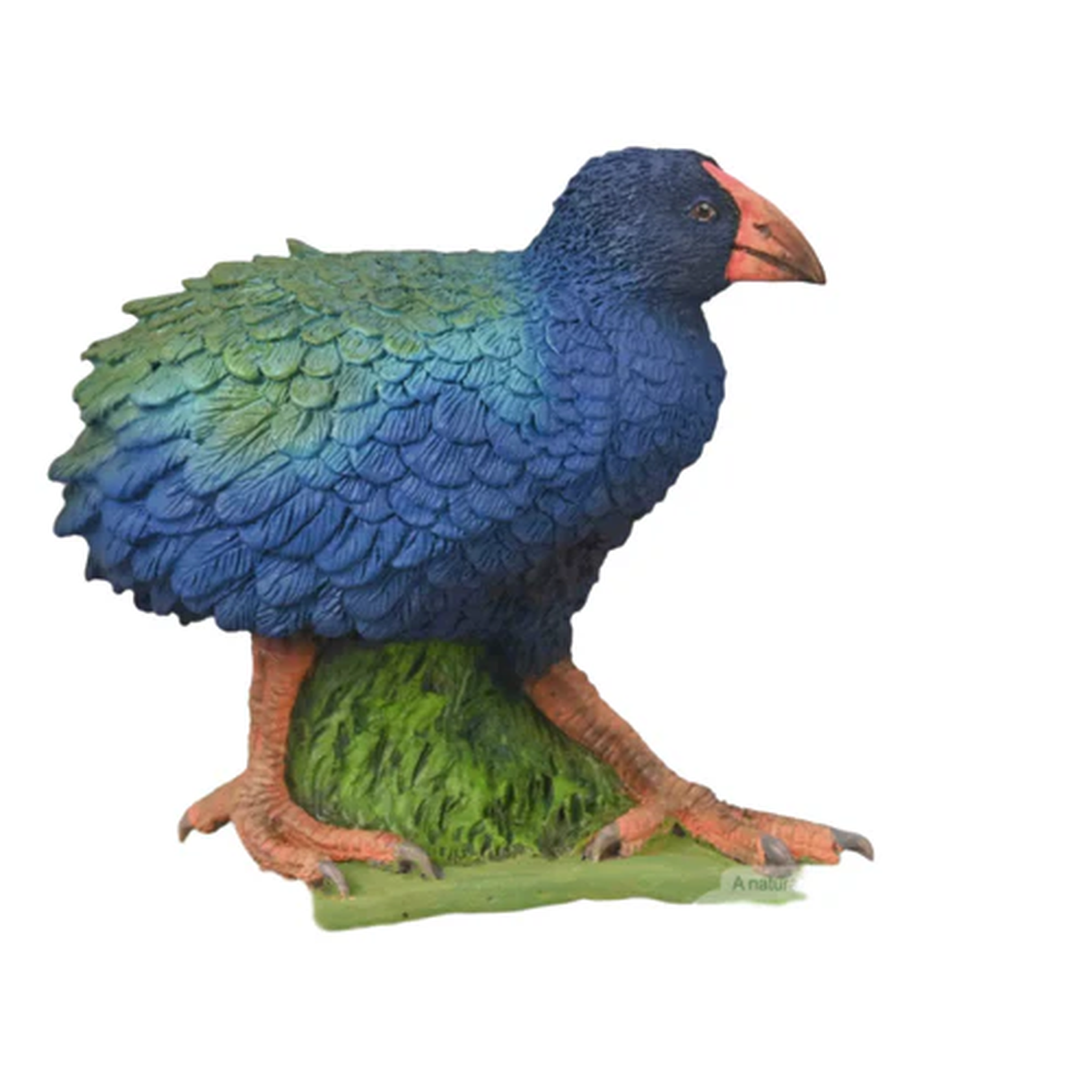 Collecta Takahe Figurine (M)