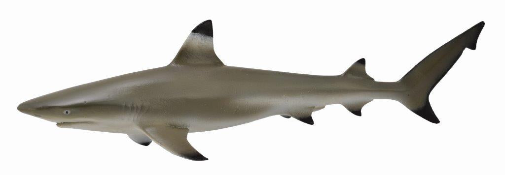 Collecta Blacktip Reef Shark (Red)