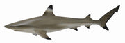 Collecta Blacktip Reef Shark (Red)