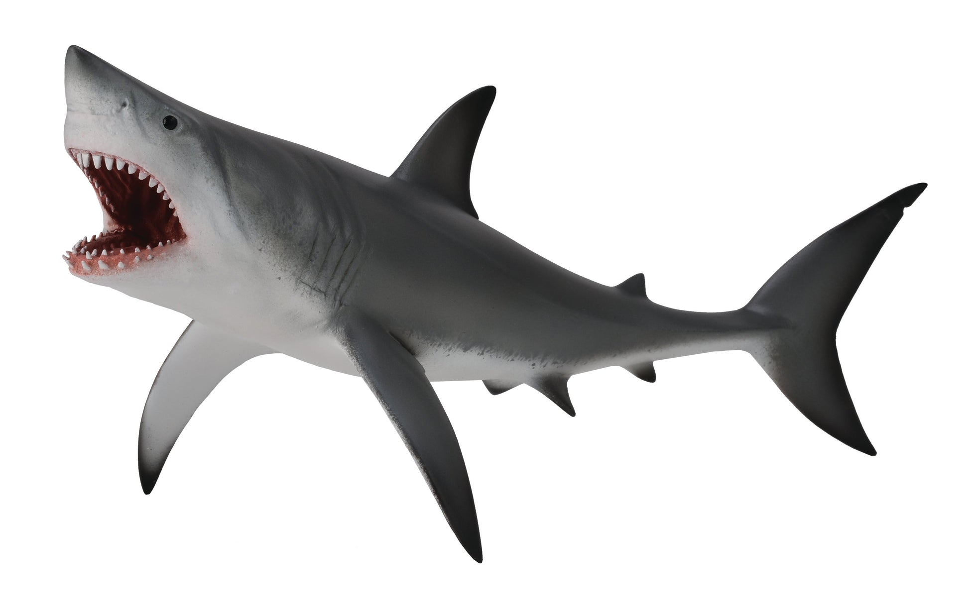 Collecta Great White Shark With Open Jaw (Grey) – Toyworld NZ