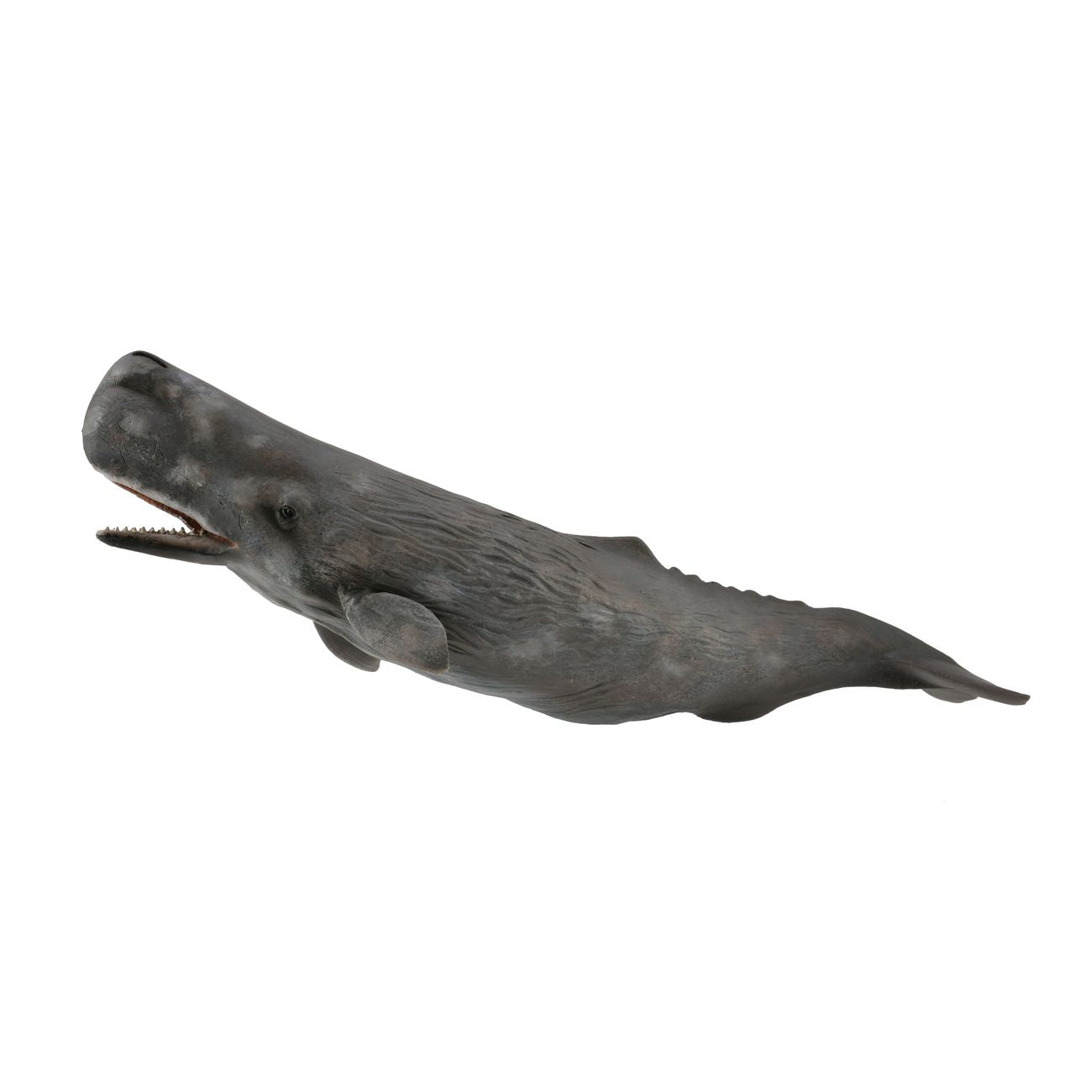 Collecta Sperm Whale (Grey)