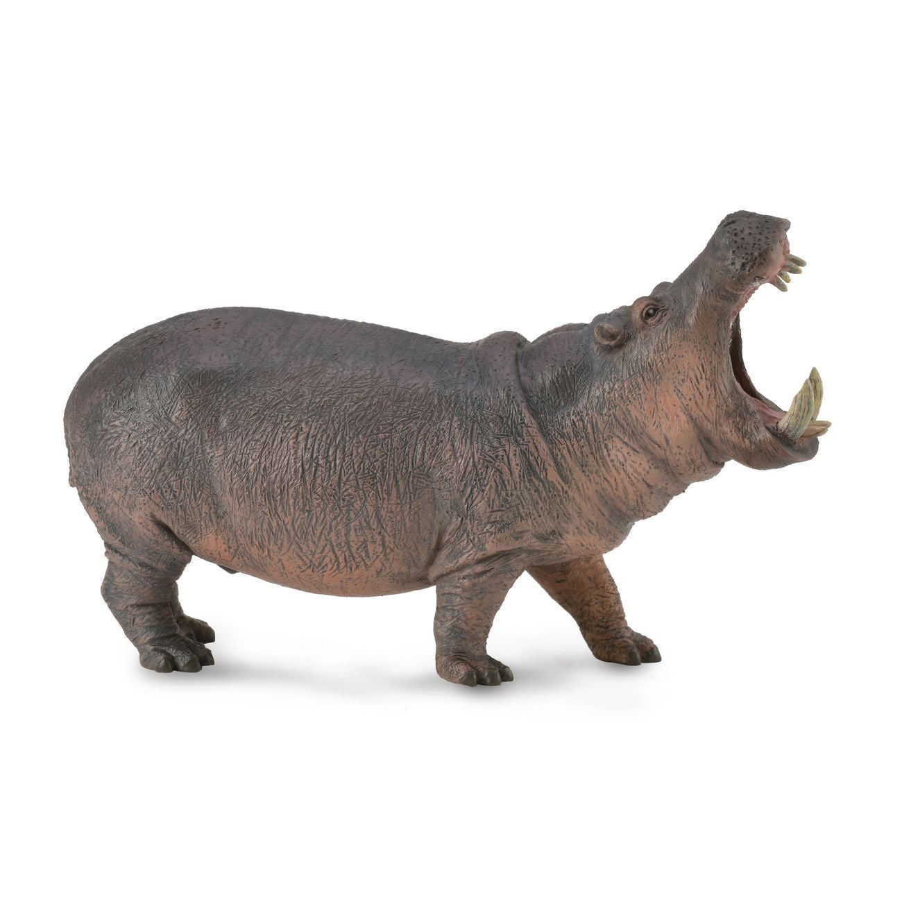 Collecta Hippopotamus (Grey)