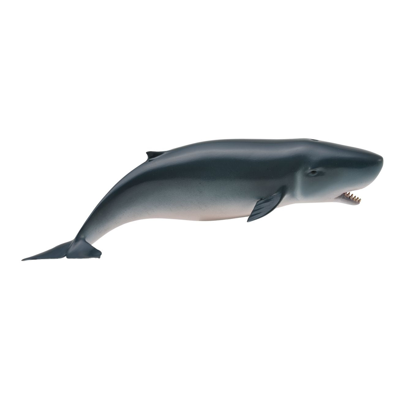 Collecta Pygmy Sperm Whale (Red)