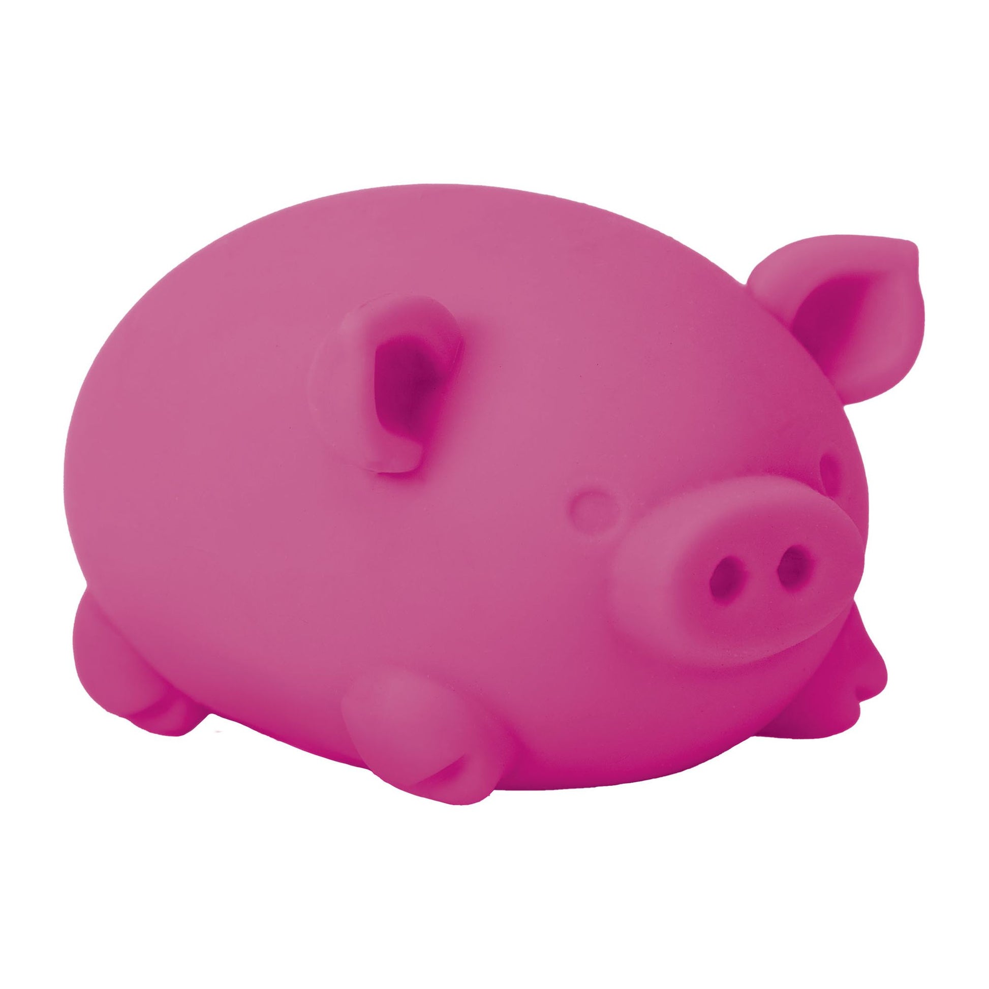 Schylling NeeDoh Dig It Pig Assorted Styles - Toyworld NZ