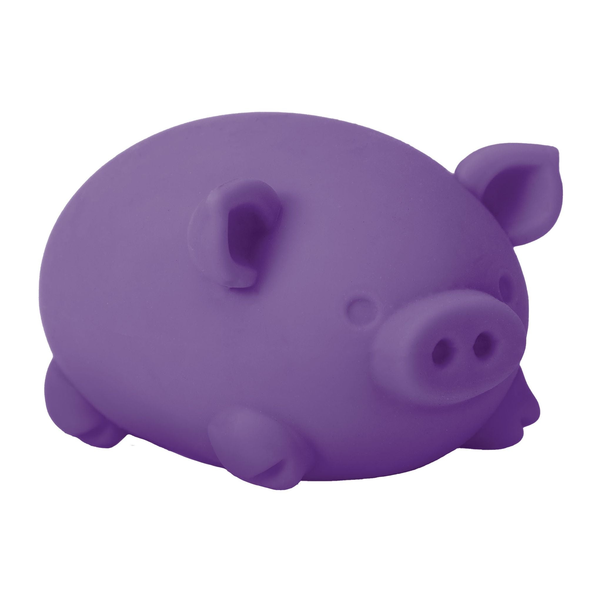 Schylling NeeDoh Dig It Pig Assorted Styles - Toyworld NZ