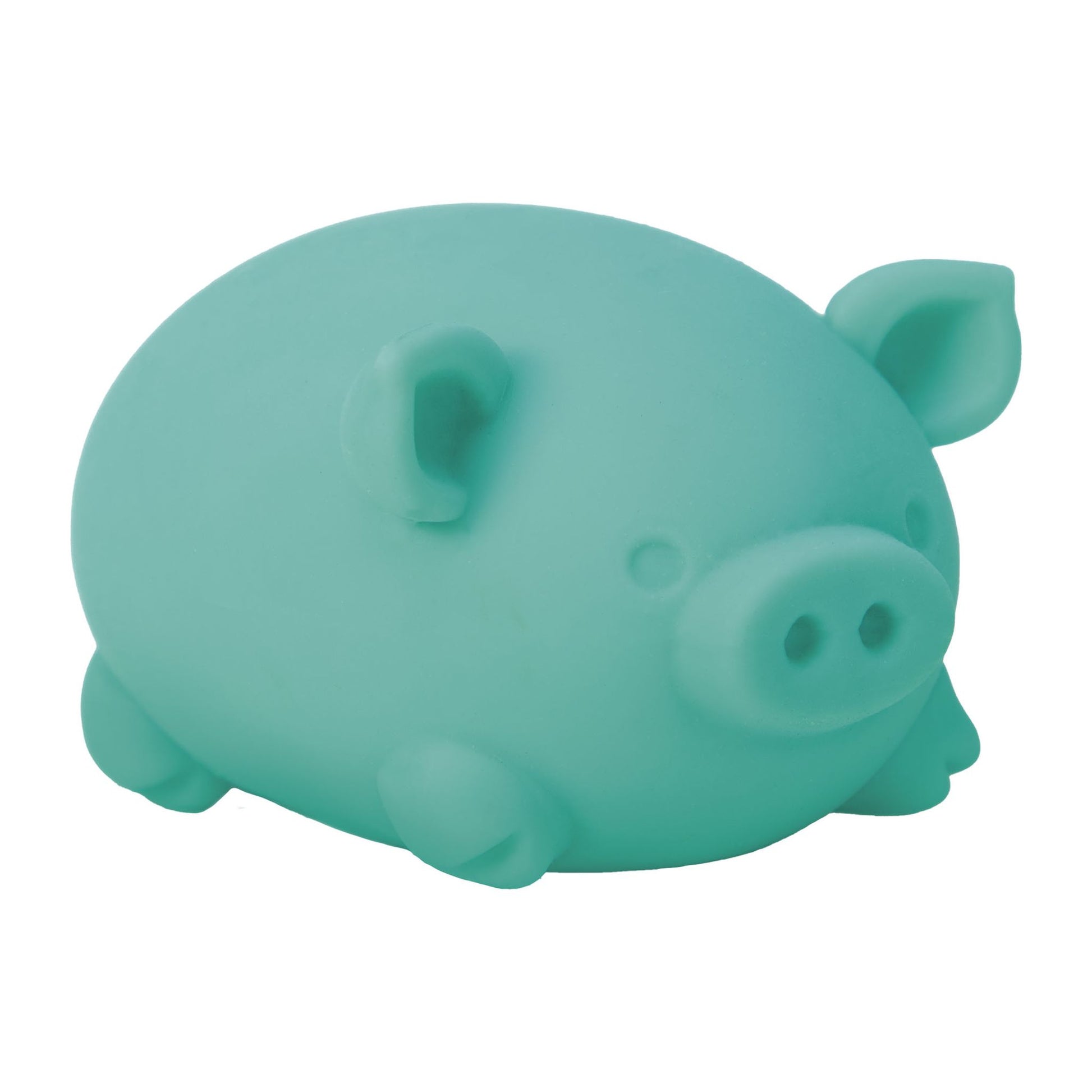 Schylling NeeDoh Dig It Pig Assorted Styles - Toyworld NZ