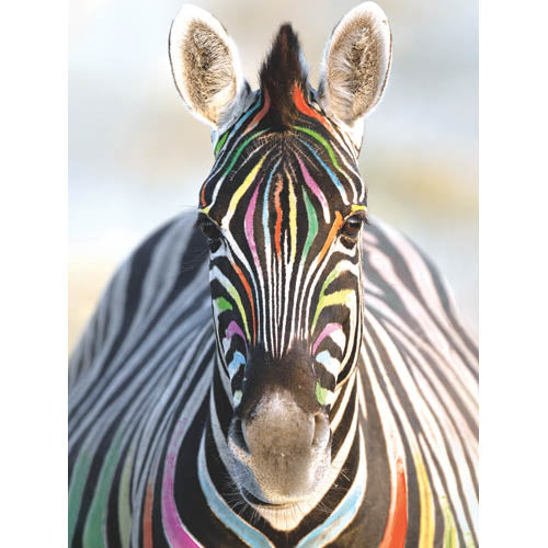 Diamond Art Zebra 30cm X 40cm Glitz Dotz