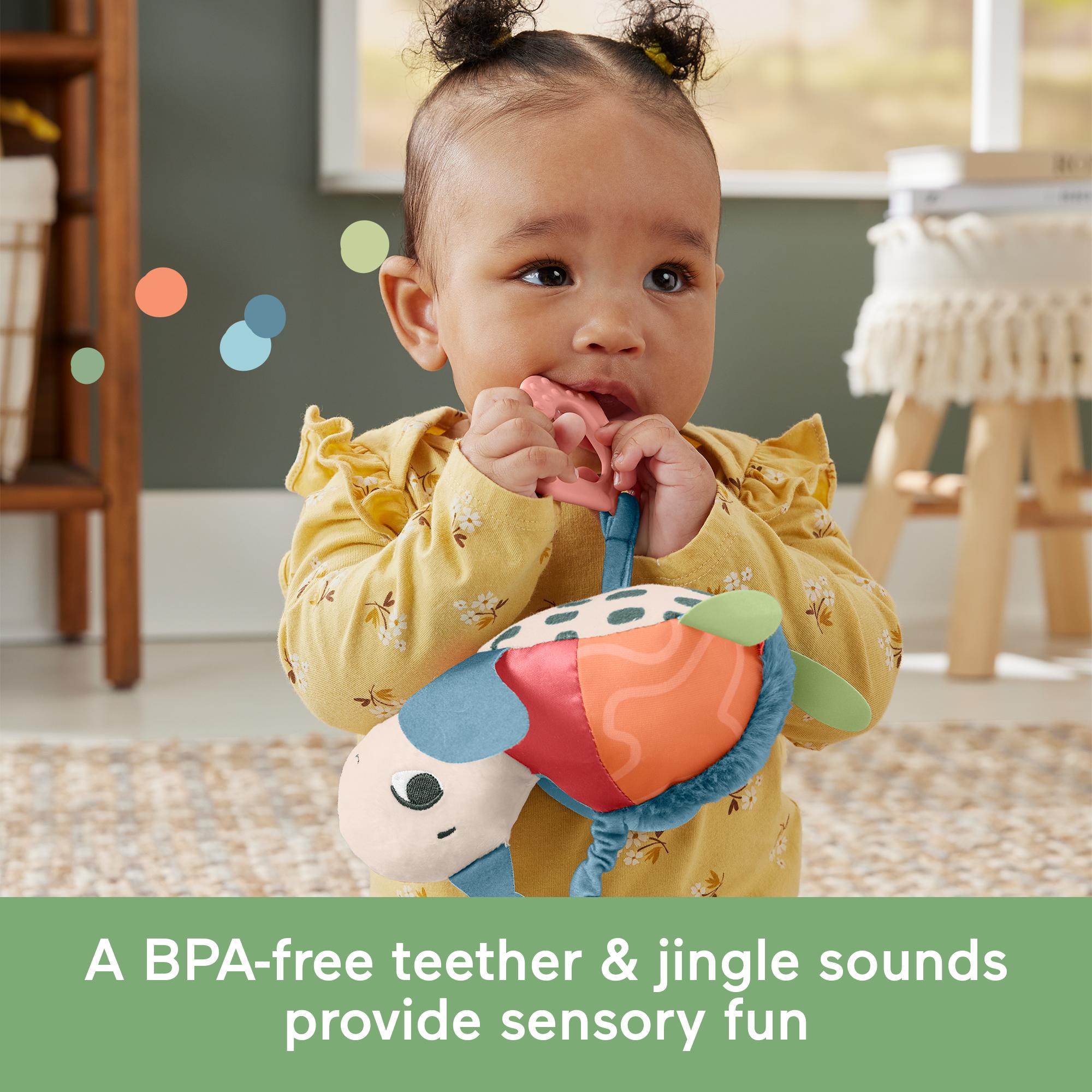 Fisher-Price Sea Me Bounce Turtle