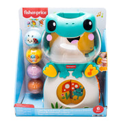 Fisher-Price Seek & Find Frog toy for babies.