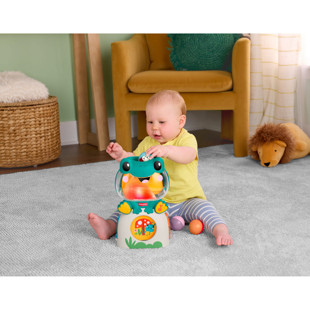 Fisher-Price Seek & Find Frog toy for babies.