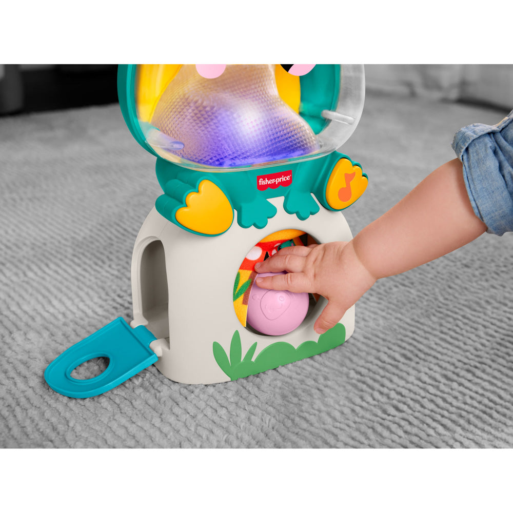 Fisher-Price Seek & Find Frog toy for babies.