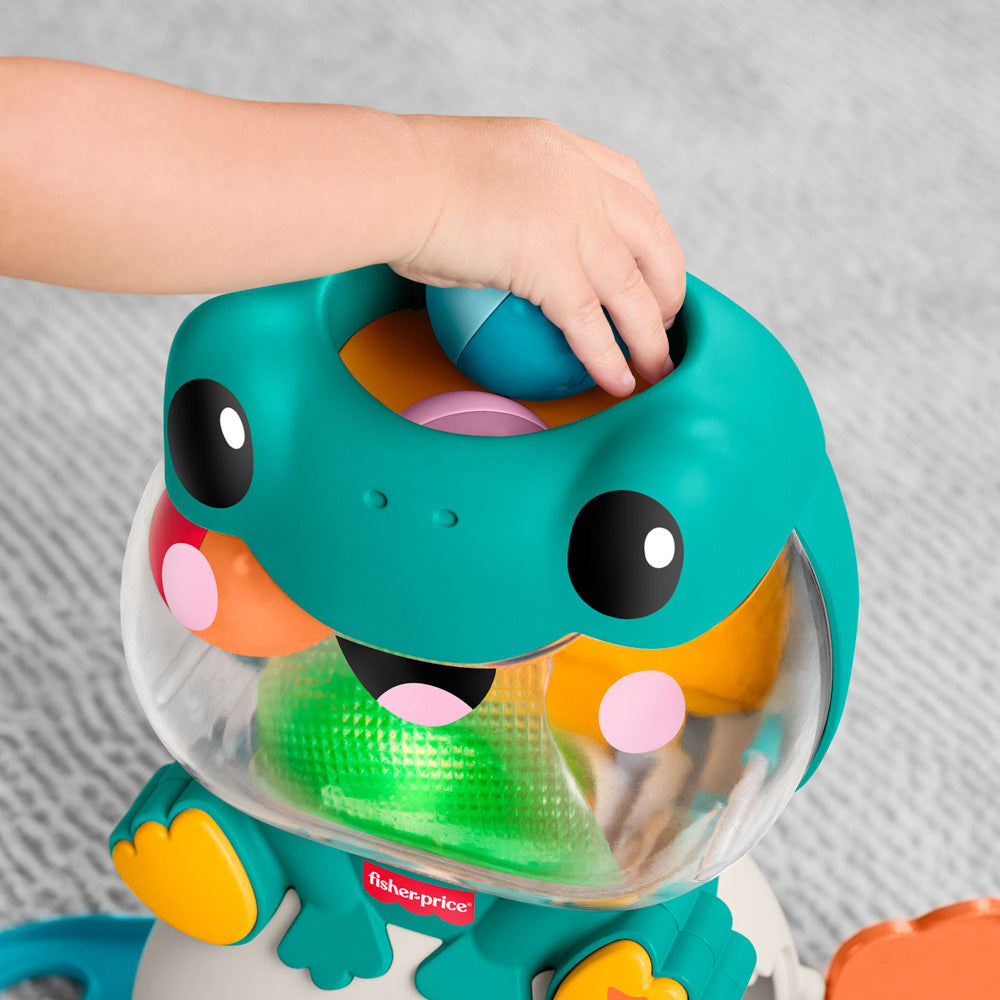 Fisher-Price Seek & Find Frog toy for babies.