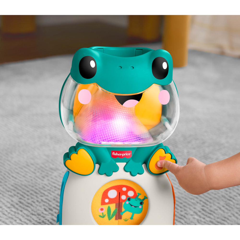 Fisher-Price Seek & Find Frog toy for babies.
