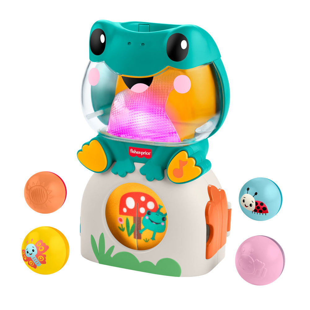 Fisher-Price Seek & Find Frog toy for babies.