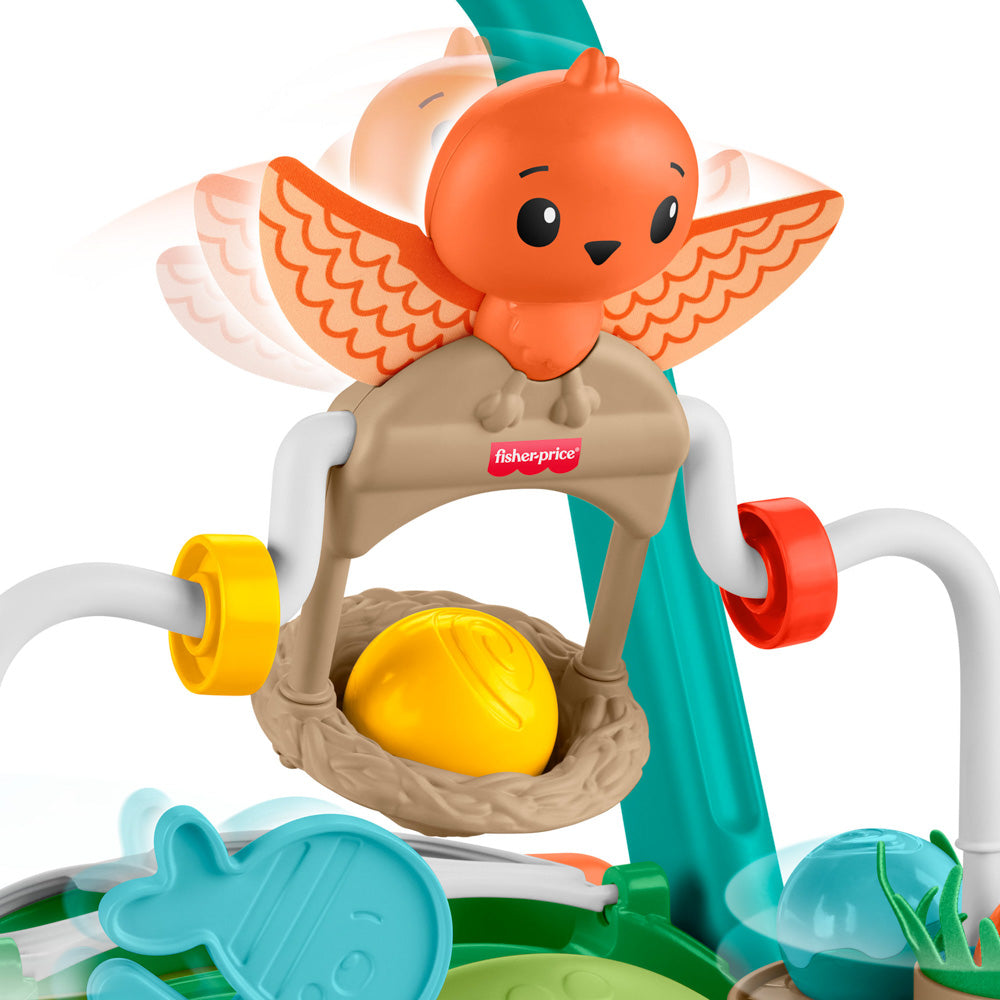 Fisher-Price Turtle Walker for Baby