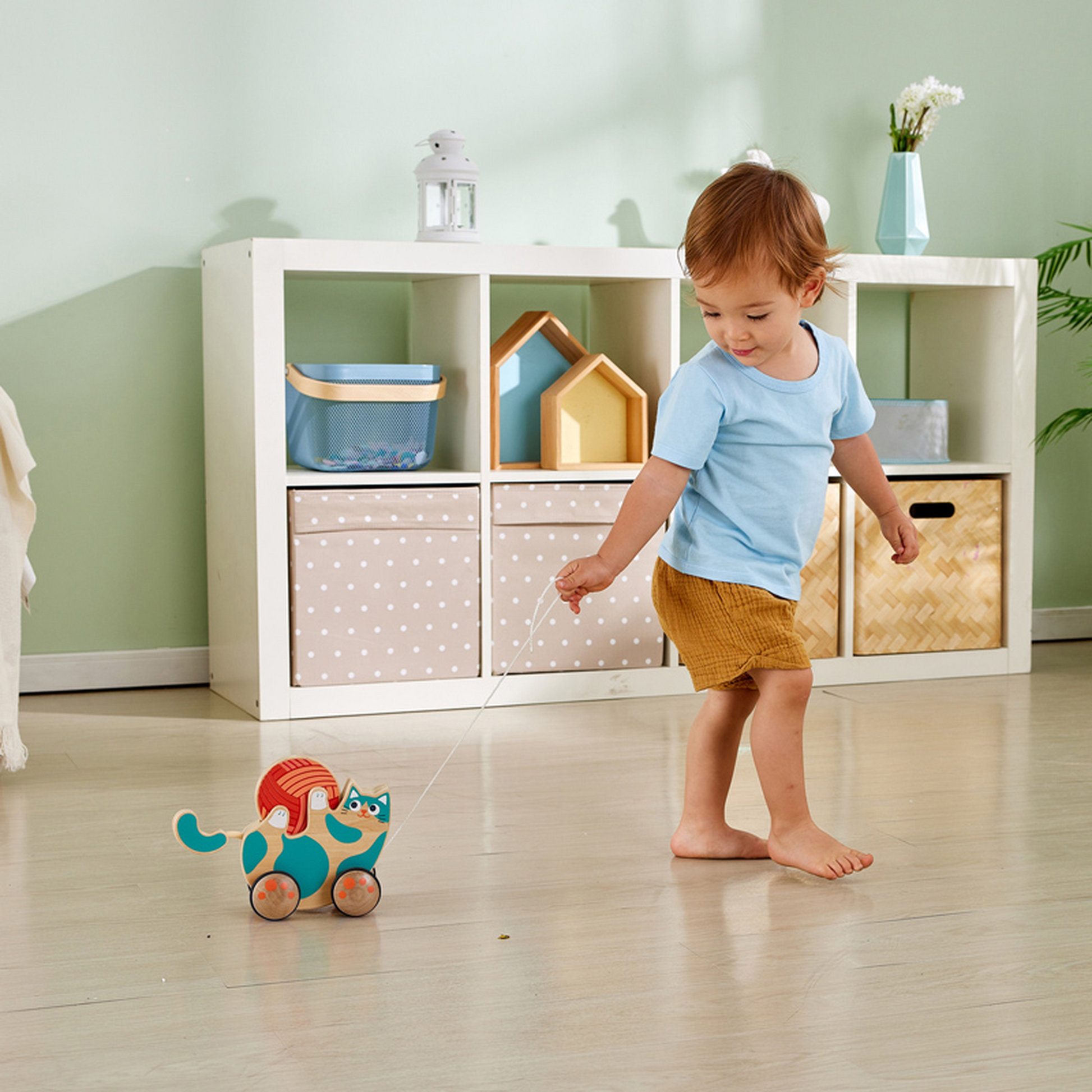 Hape Roll & Rattle Kitten - Toyworld NZ