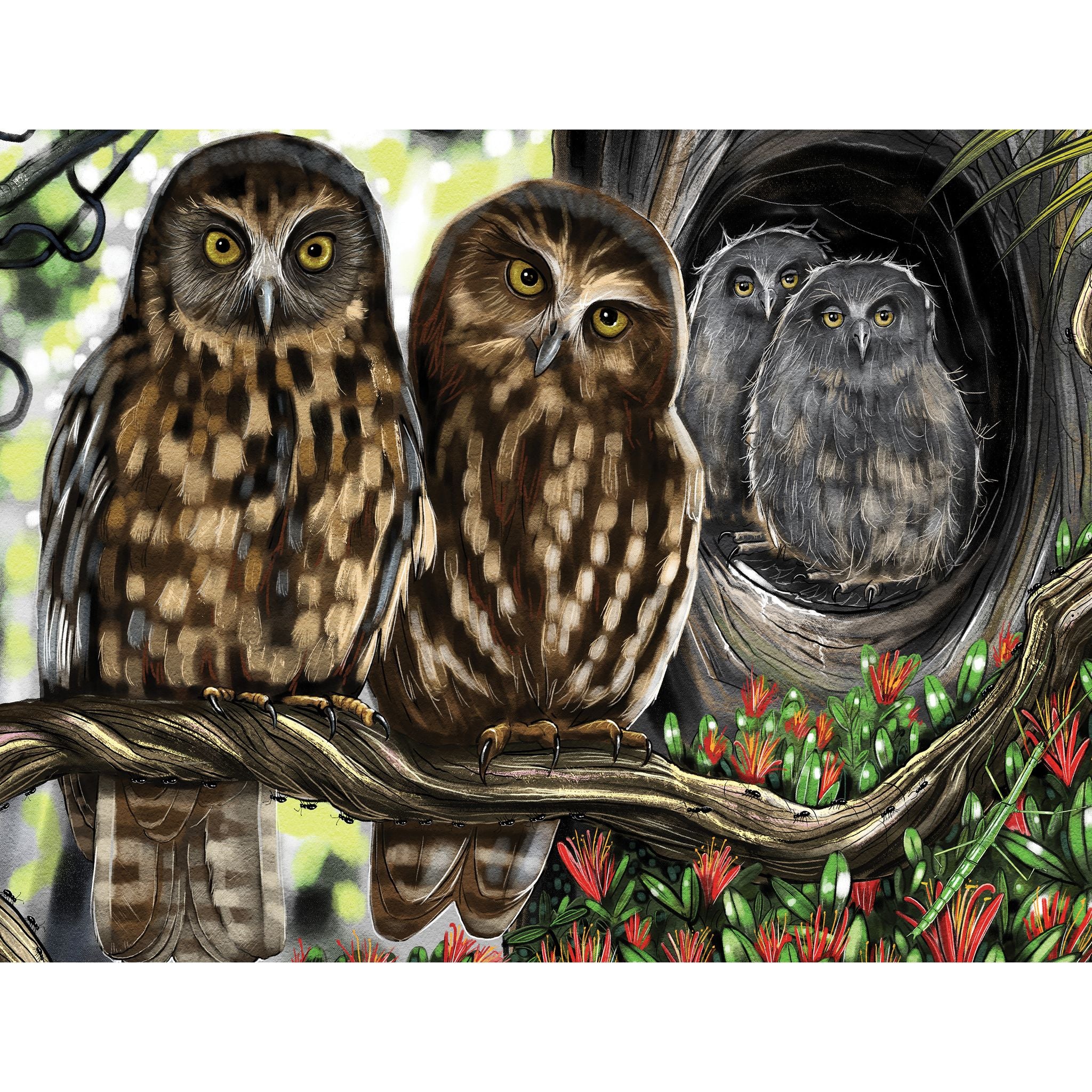 Treasures Of Aotearoa Series 4 96PC