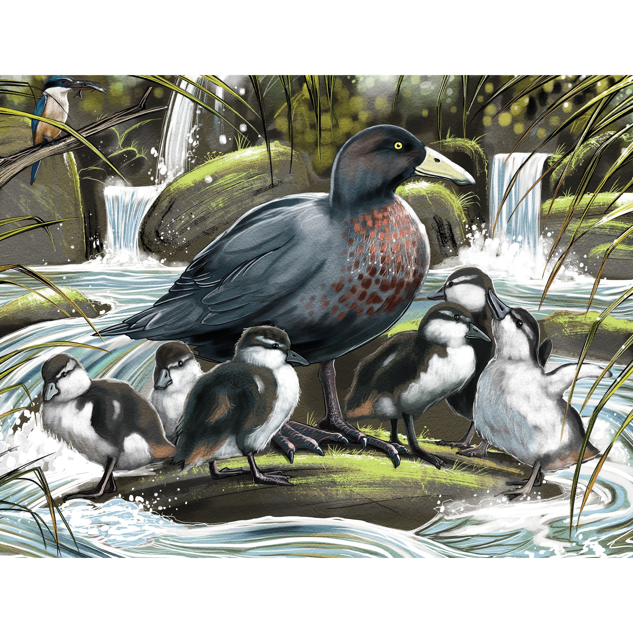 Treasures Of Aotearoa Series 4 96PC