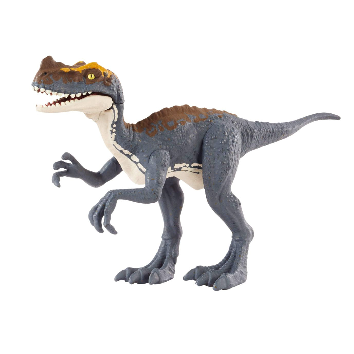 Jurassic World Rebirth Frenzy Pack Proceratosaurus