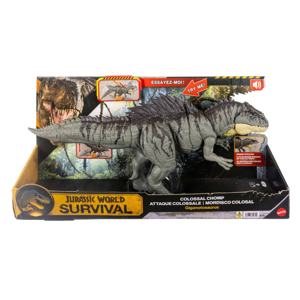 Jurassic World Survival Colossal Chomp - Giganotosaurus dinosaur toy.
