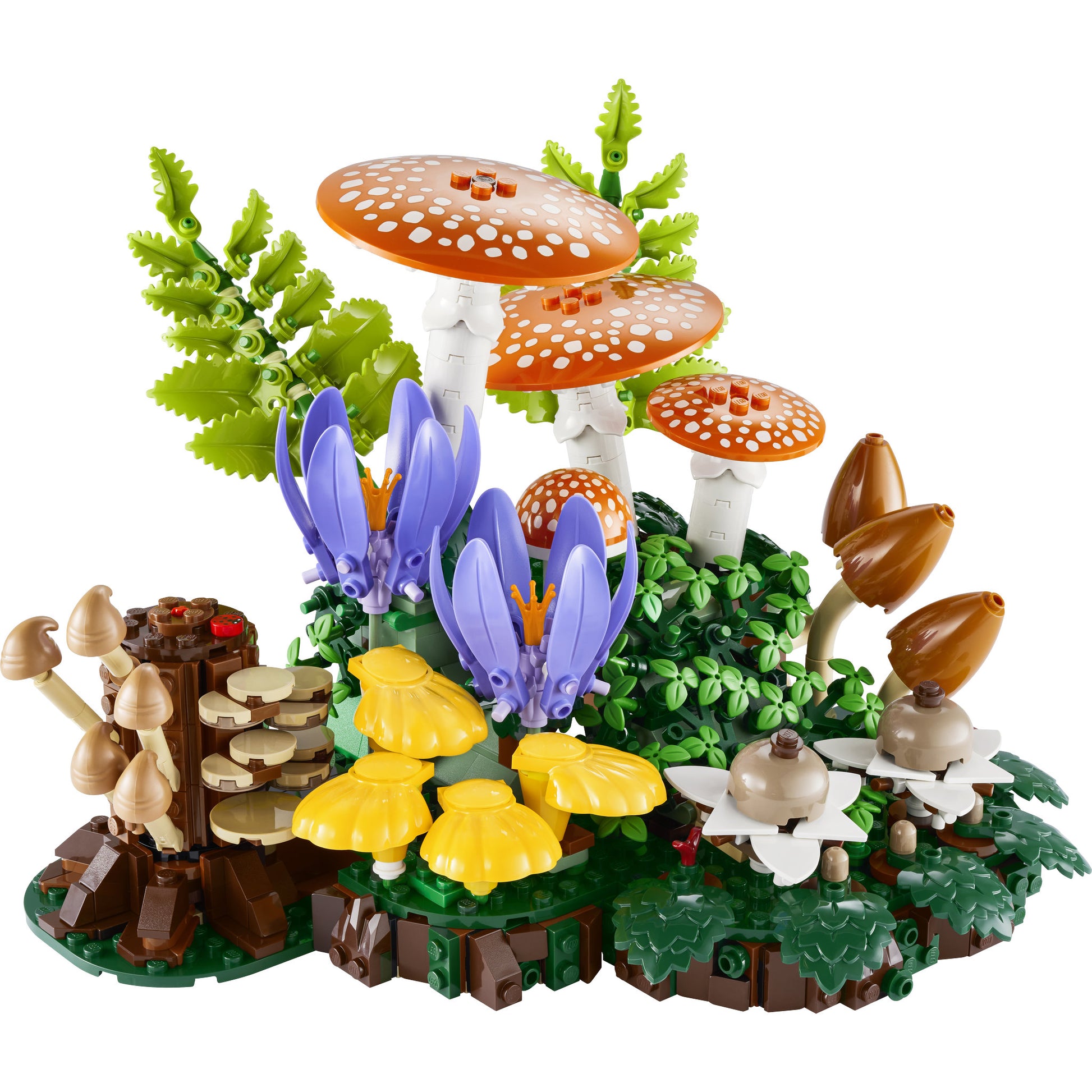 Assembled LEGO 11505 Botanicals Woodland Mushrooms Set