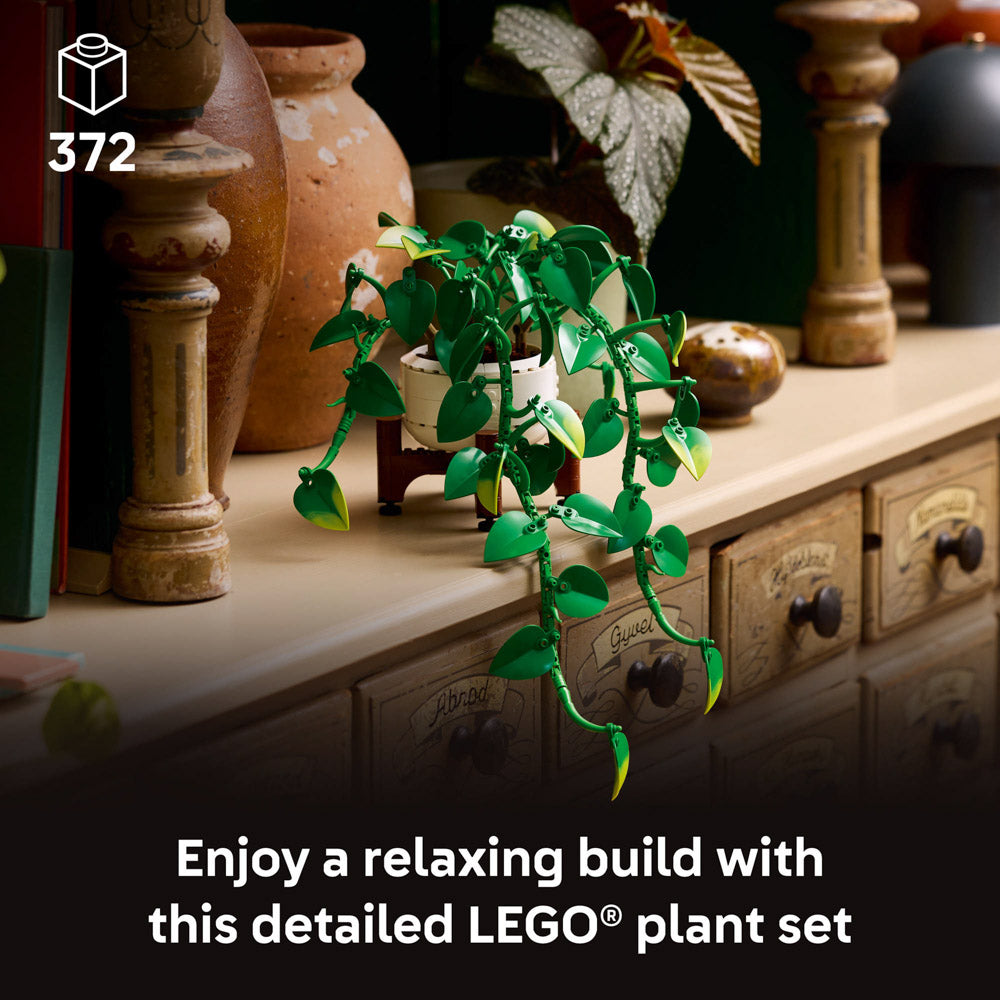 Assembled LEGO 11512 Botanicals Hanging Golden Pothos set on shelf