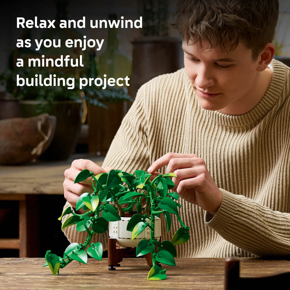 Man building the LEGO 11512 Botanicals Hanging Golden Pothos set
