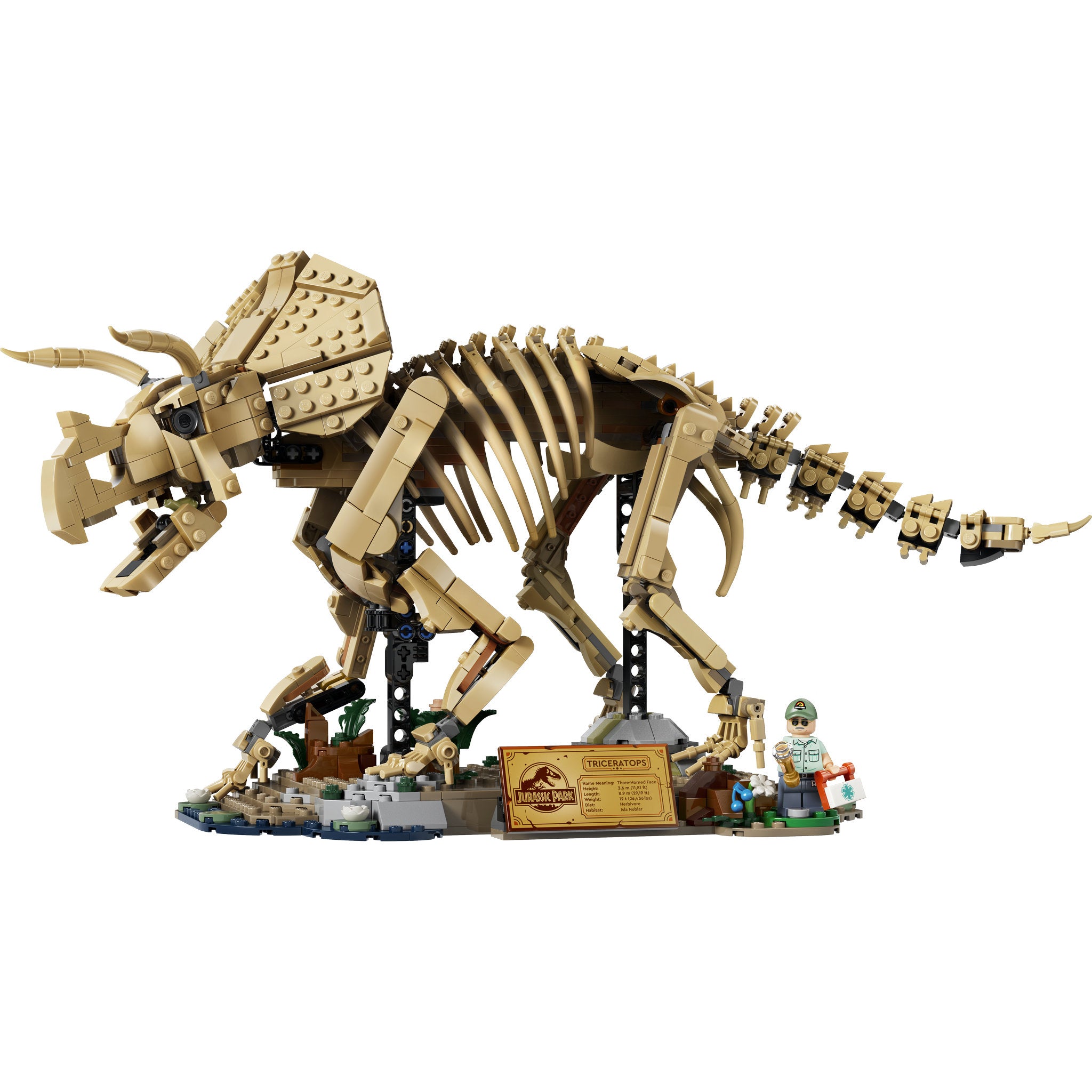 Assembled LEGO 77985 Jurassic World Dinosaur Fossils Triceratops Set