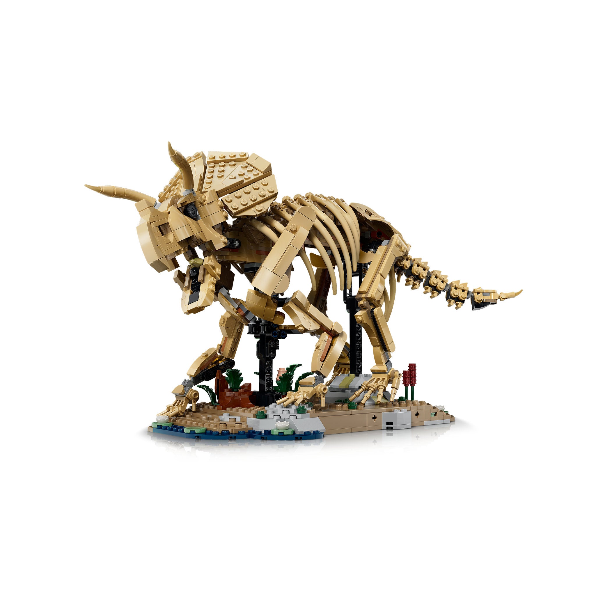Assembled LEGO 77985 Jurassic World Dinosaur Fossils Triceratops Set, from the front