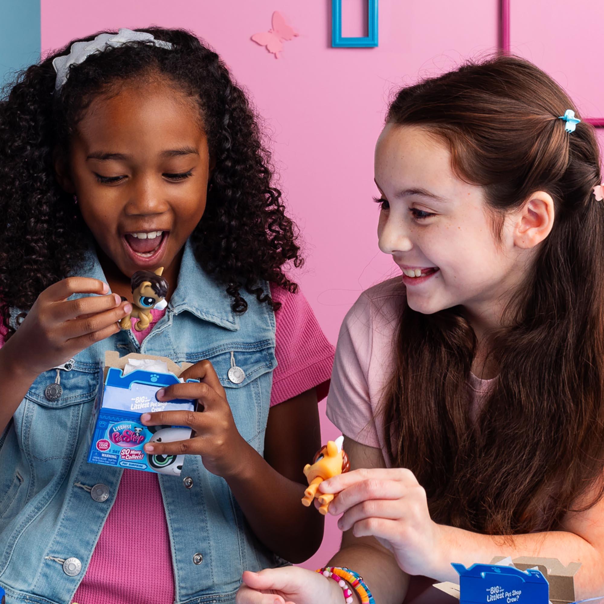 Littlest Pet Shop Pet Surprise Singles Series 1 Blind Box