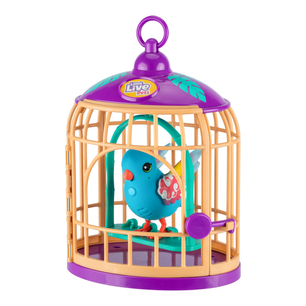 Little Live Pets Lil' Bird - Pango - Tweeting Singing Toy Bird.