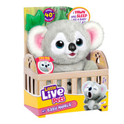 Little Live Pets My Little Baby Koala - Kiki - Toyworld NZ