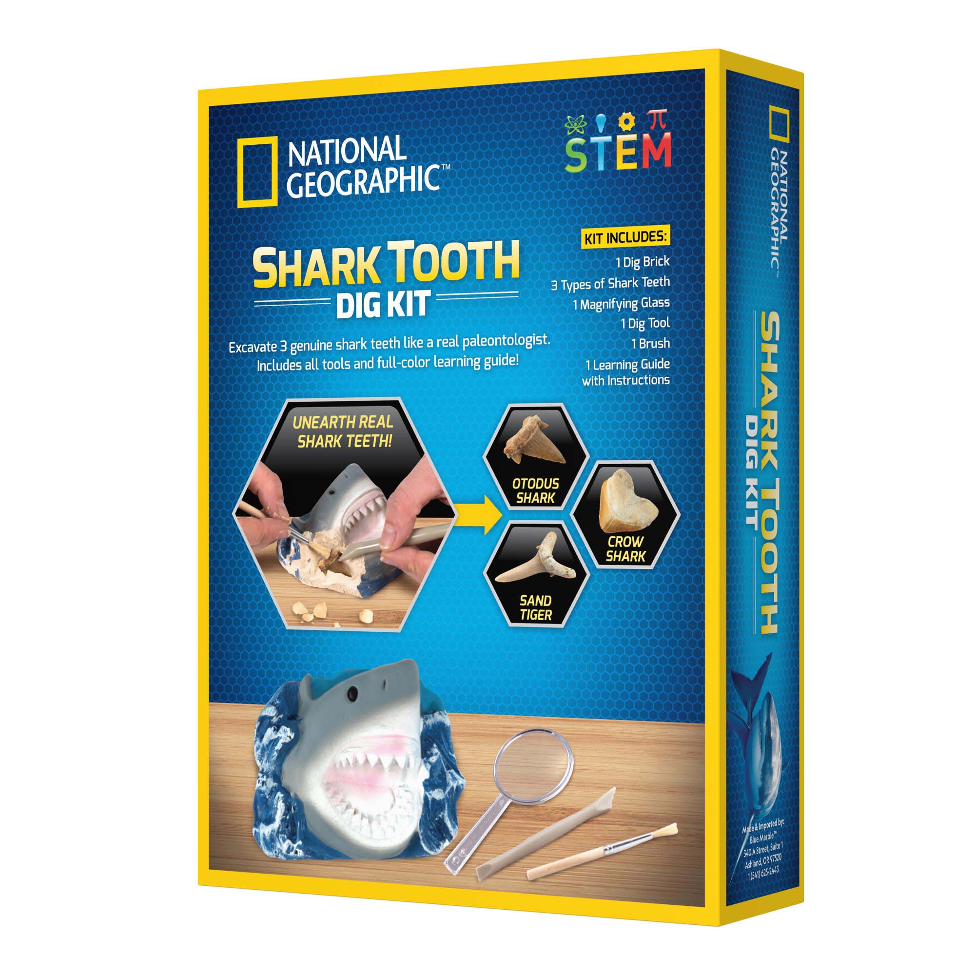 National Geographic Shark Tooth Dig Kit