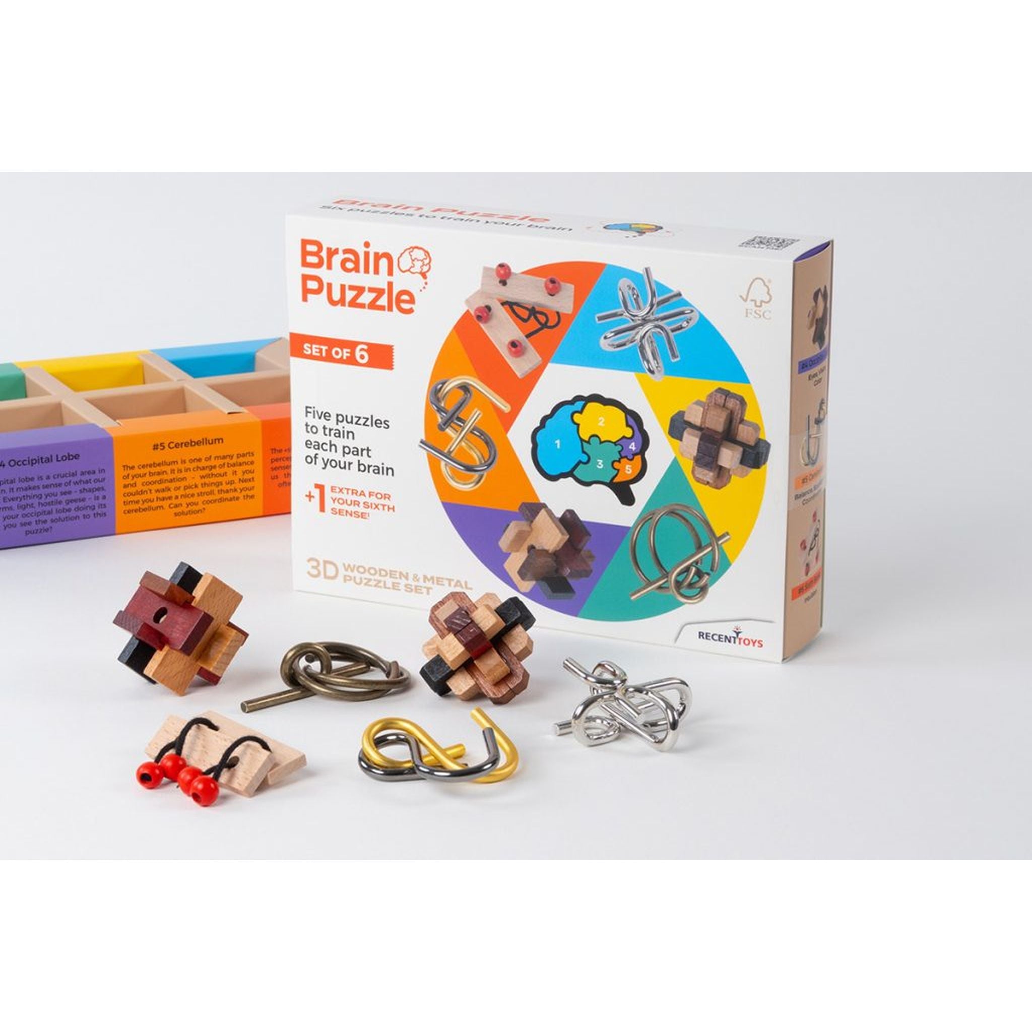 Recent Toys Brain Puzzle