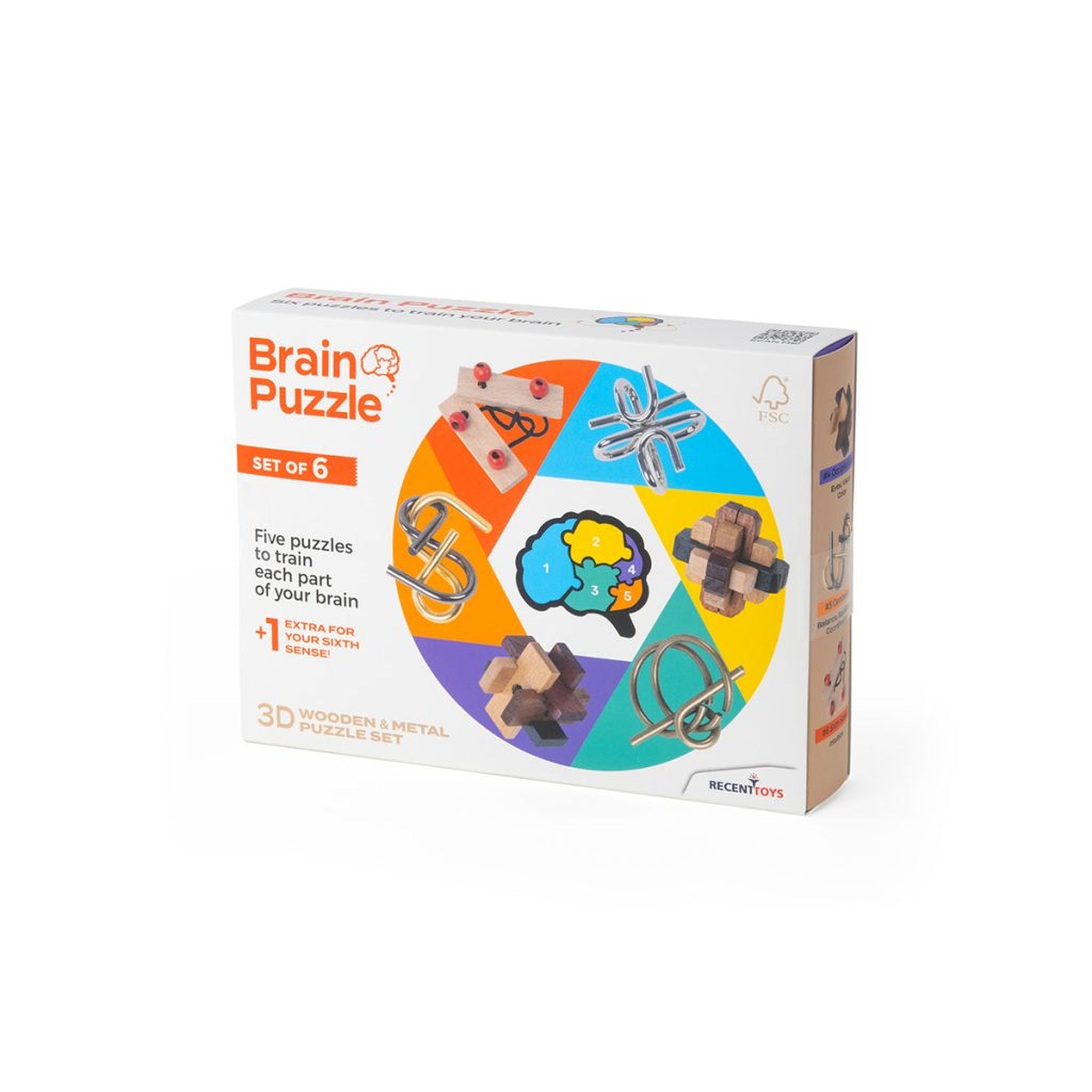 Recent Toys Brain Puzzle