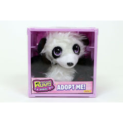 Rescue Runts Babies Panda