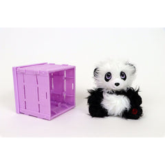 Rescue Runts Babies Panda
