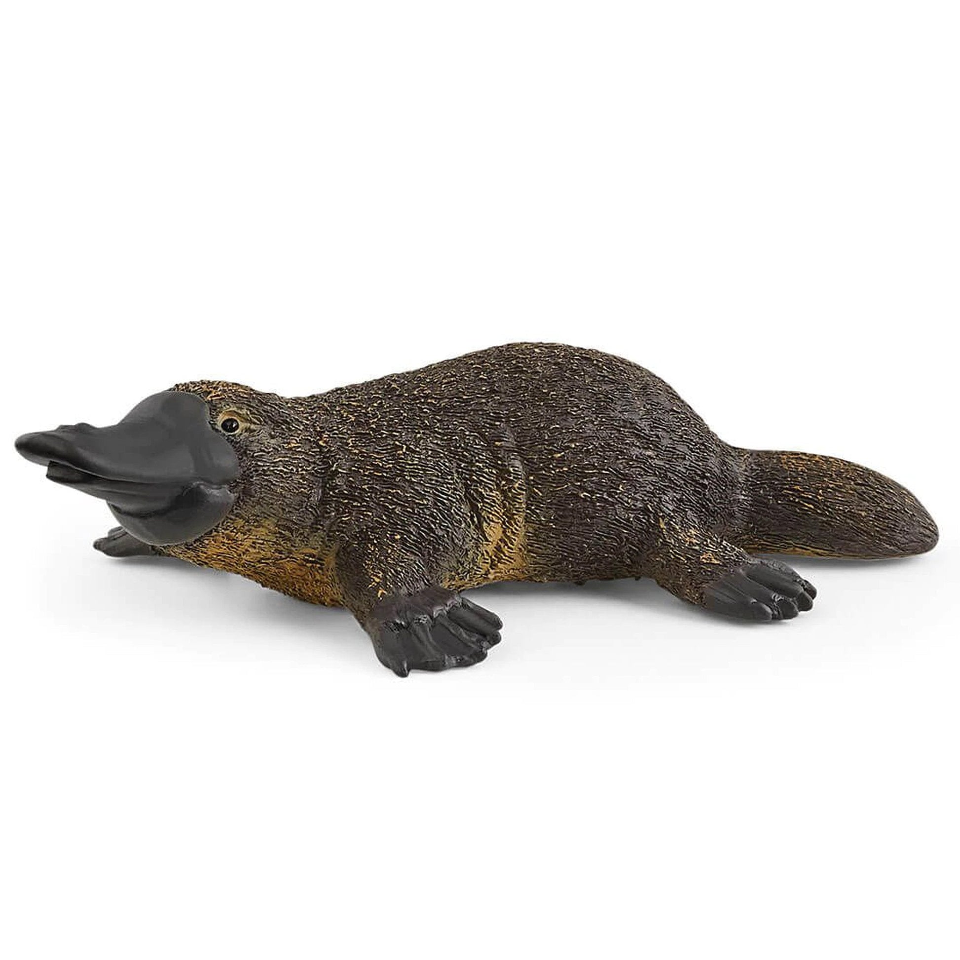Schleich Platypus - Toyworld NZ