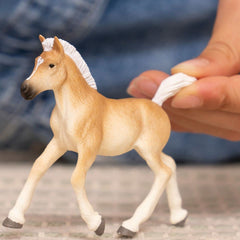 Schleich Haflinger Foal