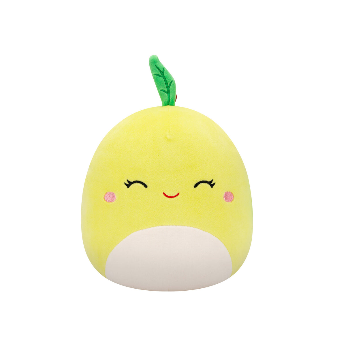 Squishmallows 8 Inch Plush Mystery Squad Series 24 - Toyworld NZ