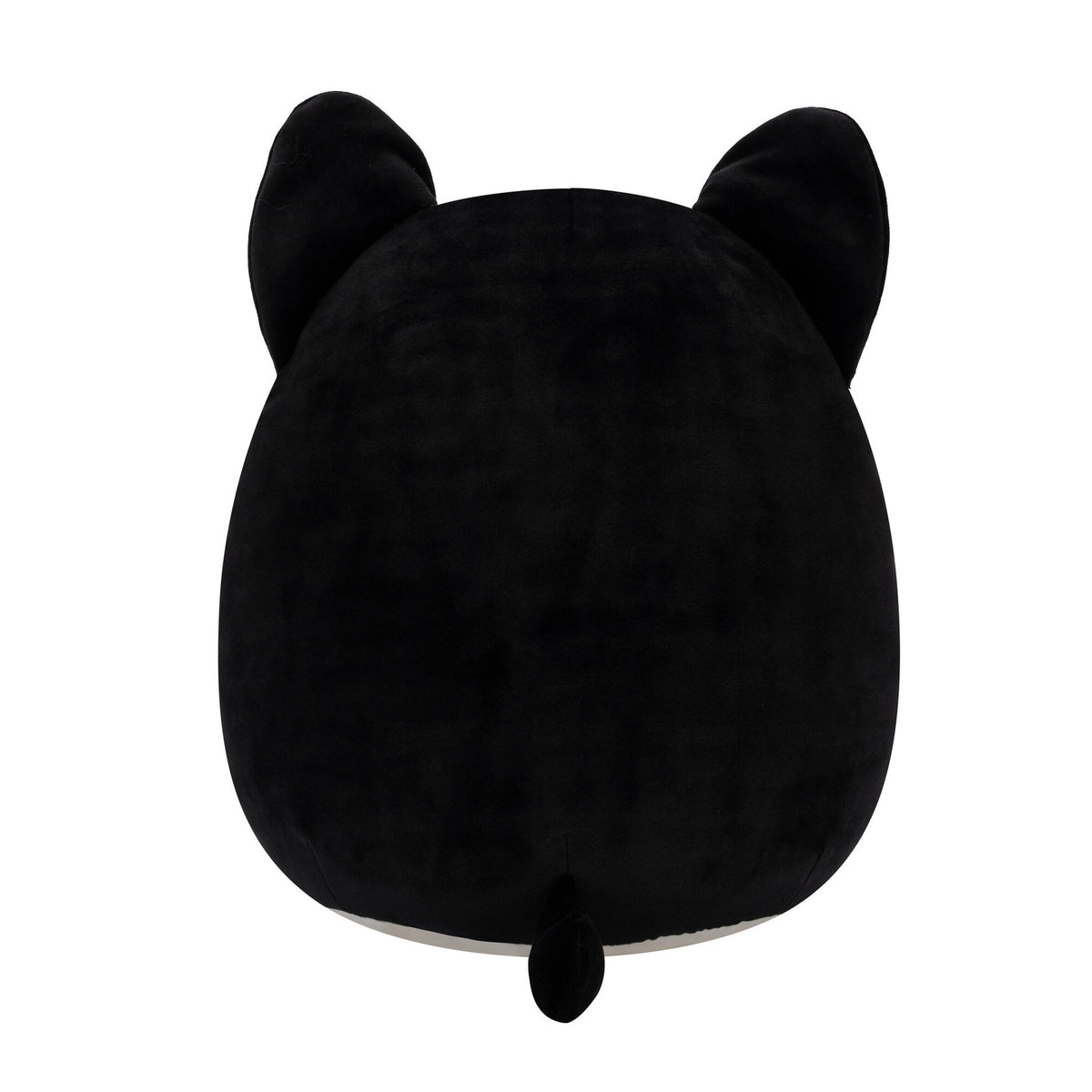 Squishmallows 12 Inch Valentines Cicely The Cat