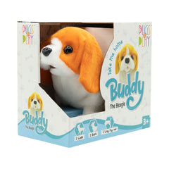 PUGS AT PLAY BUDDY THE BEAGLE WALKING DOG