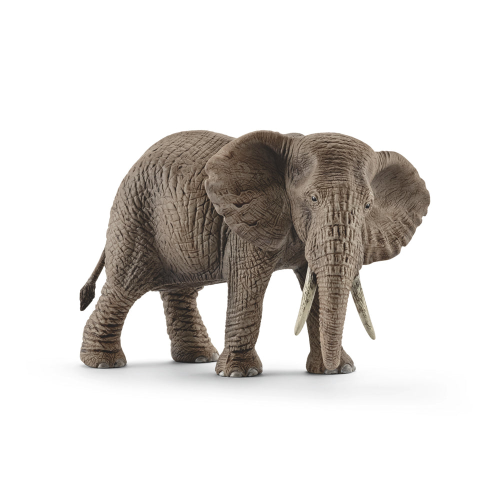 Schleich African Elephant Female - Toyworld NZ