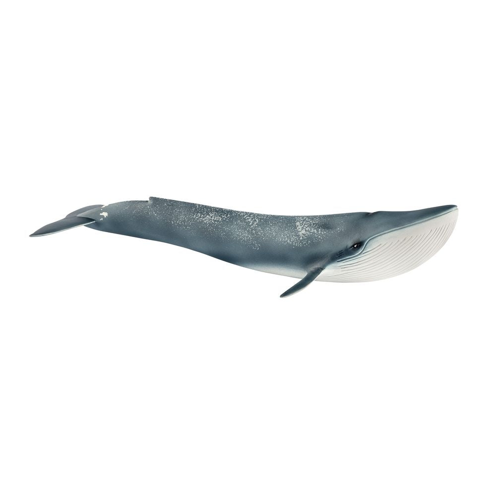 Schleich Blue Whale - Toyworld NZ