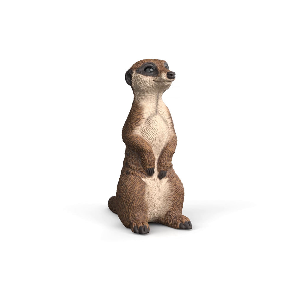 Schleich Meerkat - Toyworld NZ
