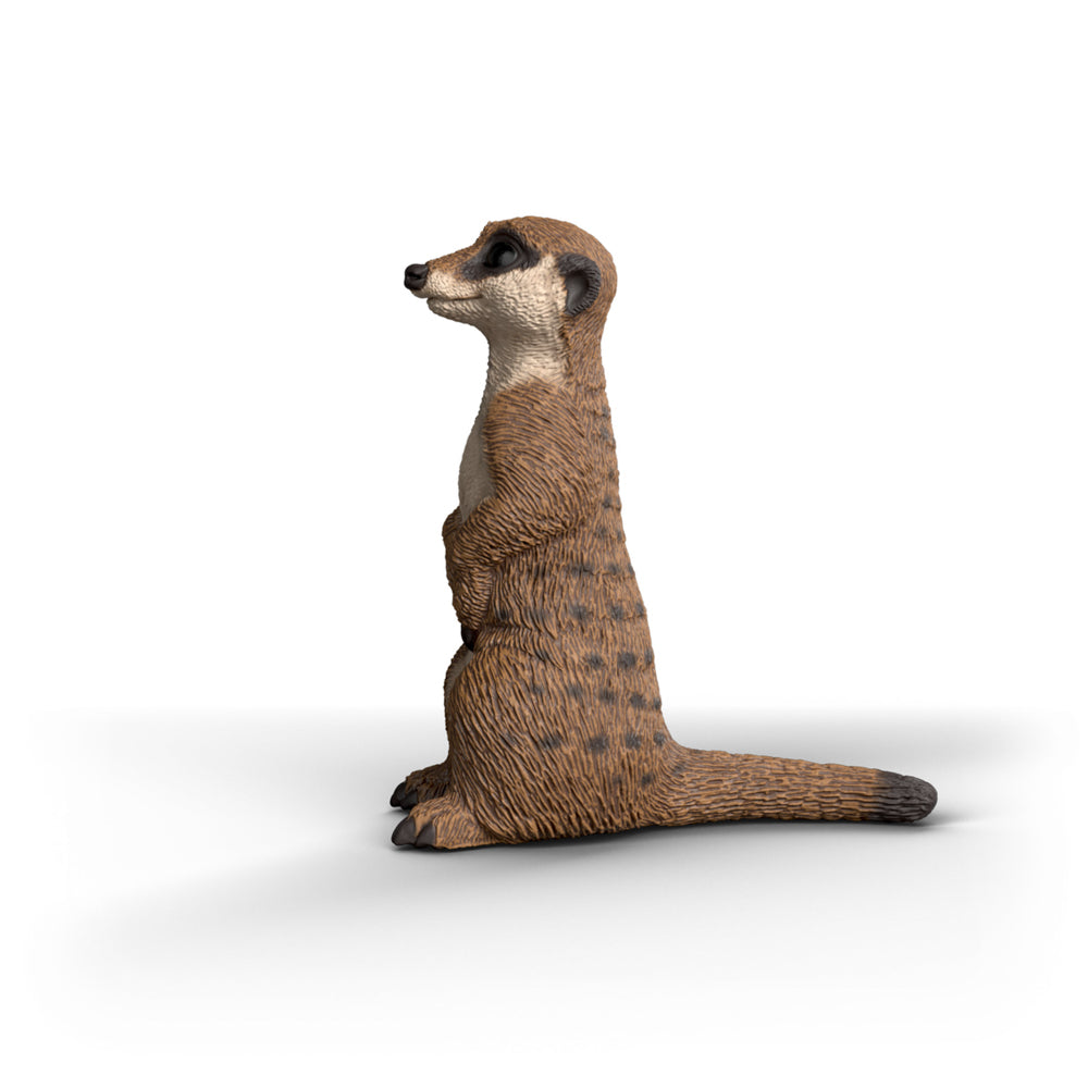 Schleich Meerkat - Toyworld NZ