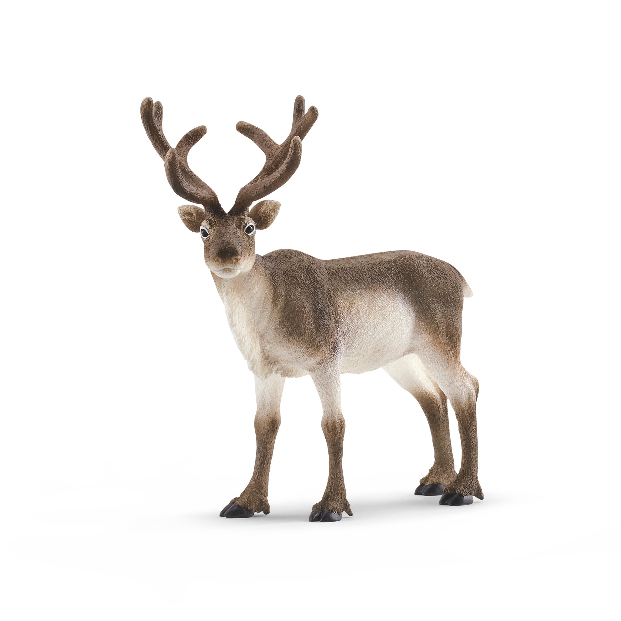 Schleich Reindeer - Toyworld NZ